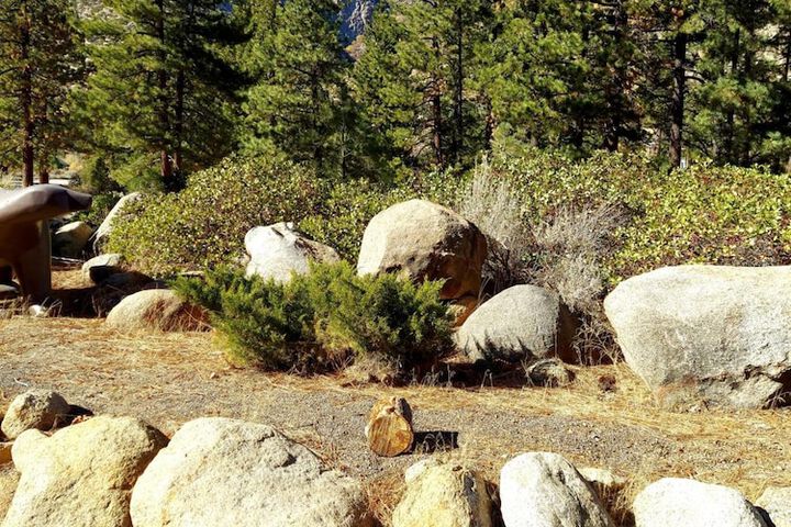 Property Grounds 15 of 17