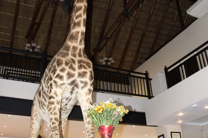 Entrance & Lobby