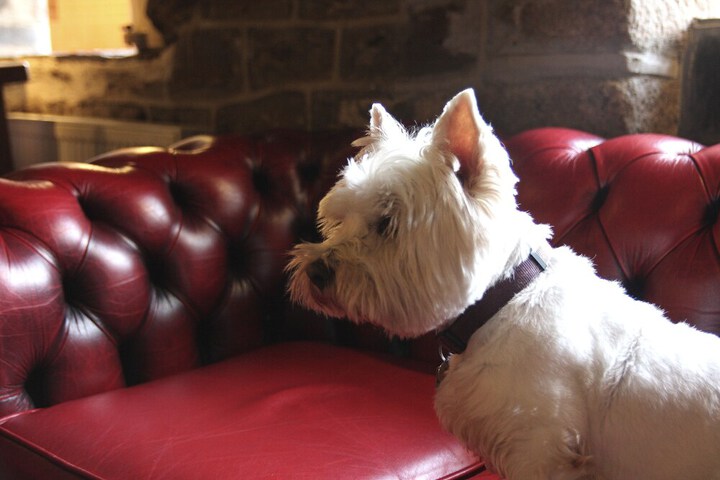 Lounge 47 of 60