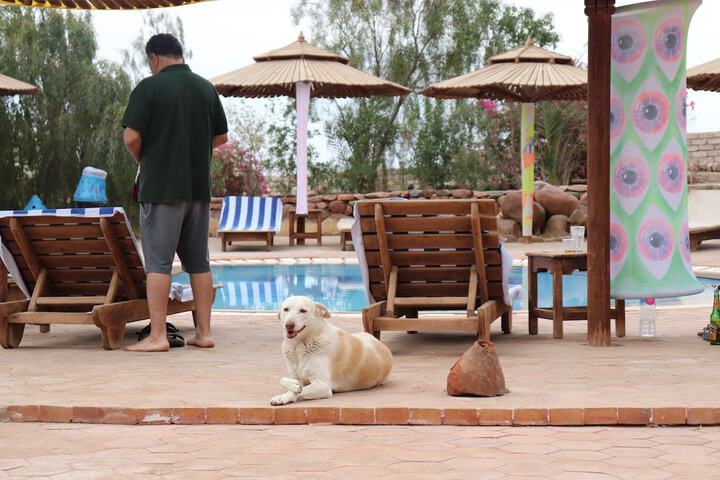 Pool 48 of 107