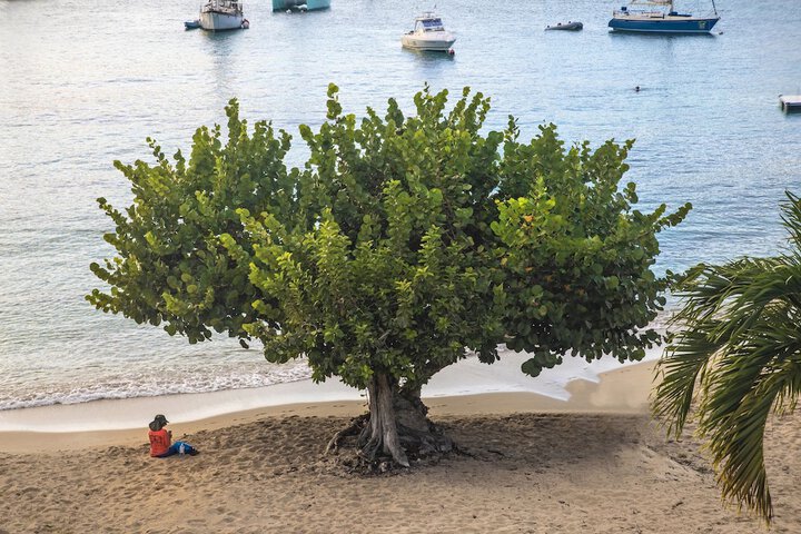 Beach 214 of 257