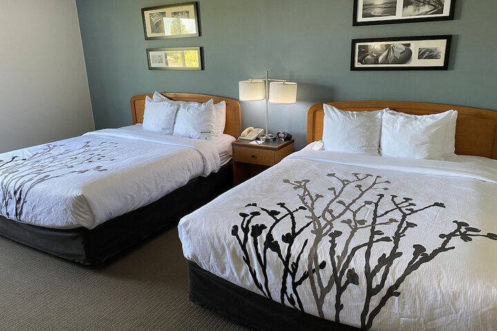 2 Queen Beds (7 of 13)