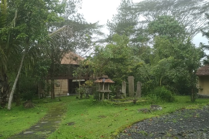 Property Grounds 12 of 29