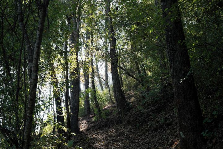 Hiking