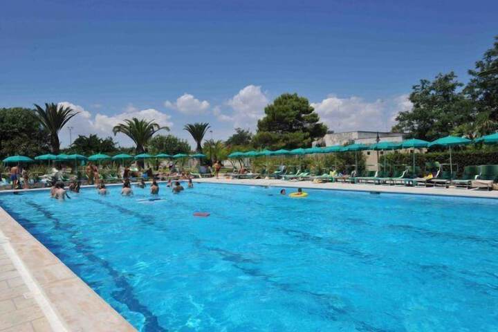 Pool to Cool