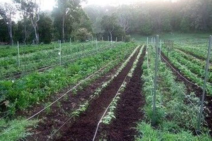 Property Grounds 49 of 58