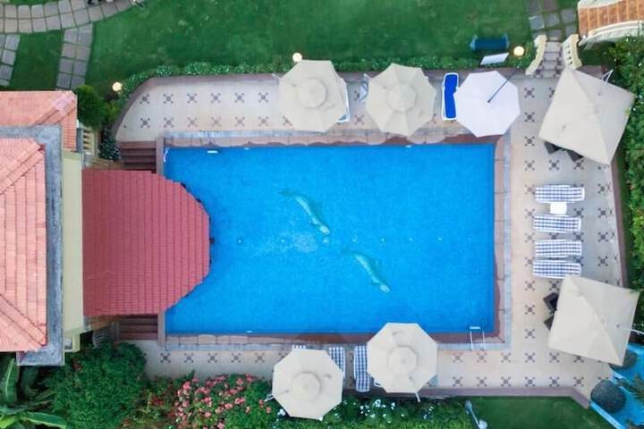 Pool 40 of 62