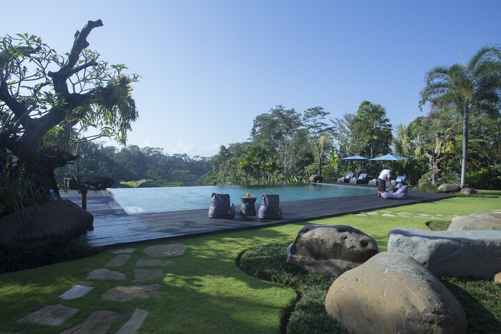 Pool 41 of 55