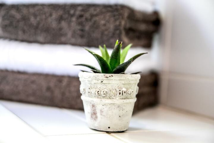 Bathroom Interior Photo