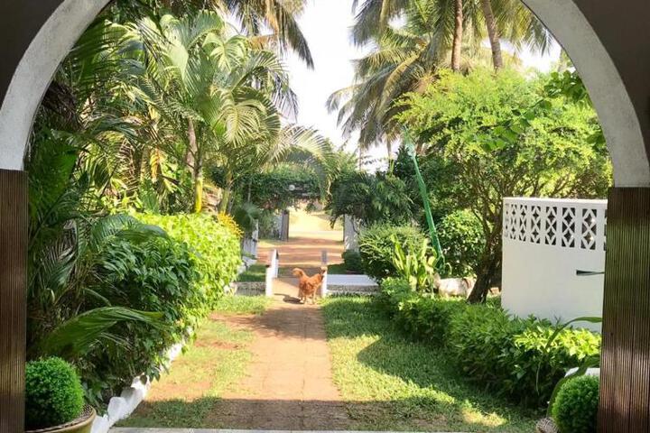 Property image 4