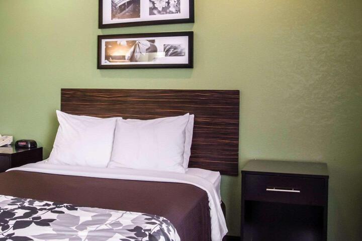 1 Queen Bed Accessible (1 of 9)