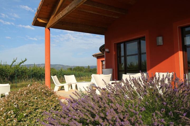 Terrace/Patio 24 of 26