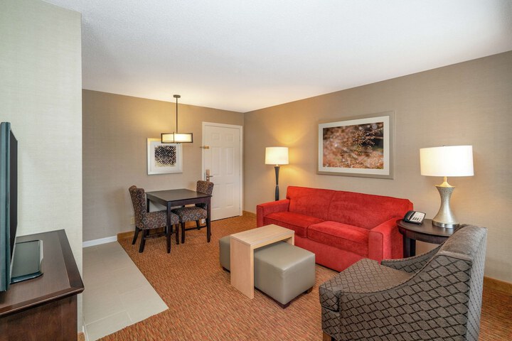 1 King Bed 1 Bedroom Suite (20 of 42)
