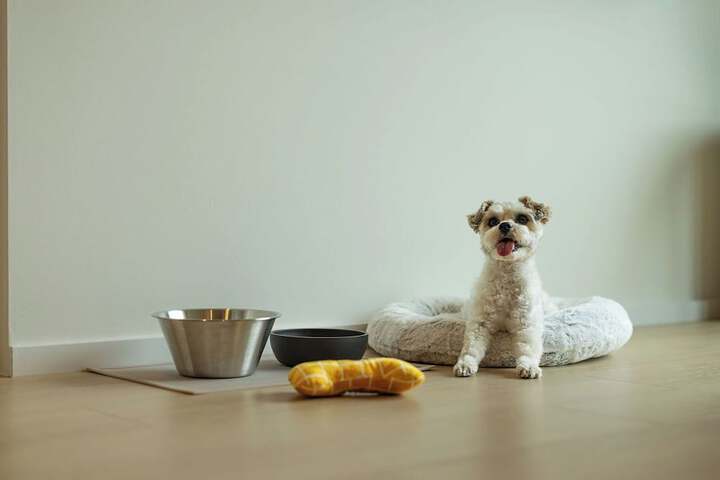 Pet Friendly 48 of 58