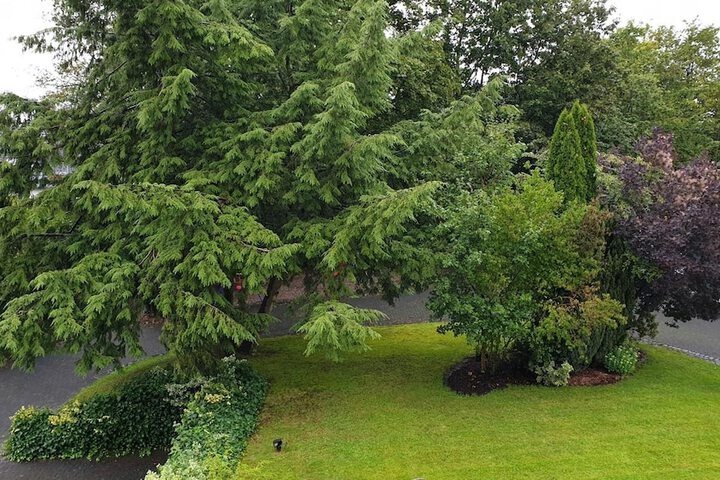 Property Grounds 28 of 39