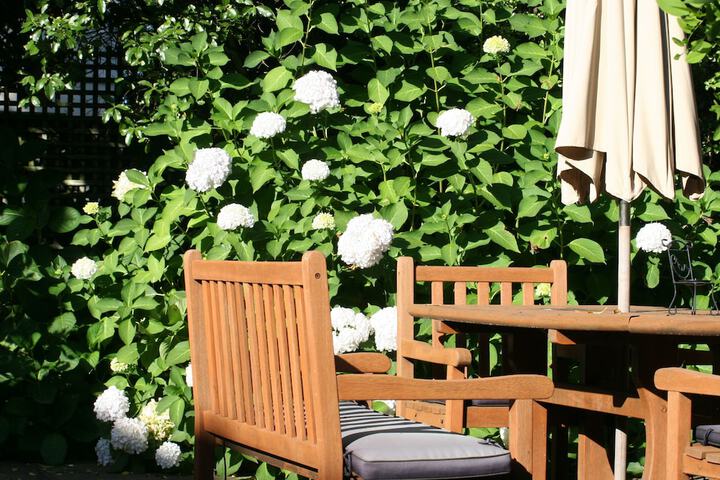 Terrace/Patio 42 of 76