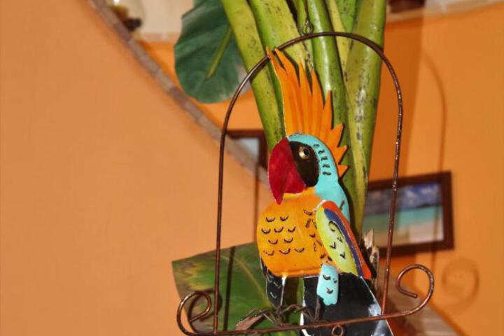 Spa and Wellness Pictures