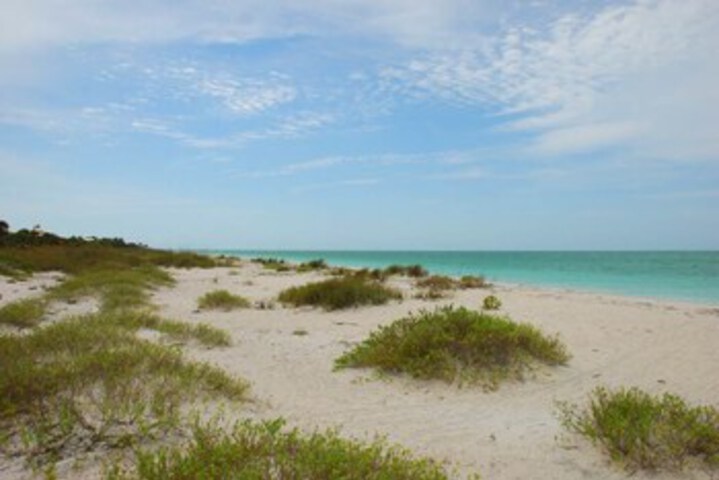 Beach 5 of 24