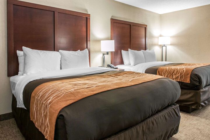 2 Queen Beds (5 of 7)