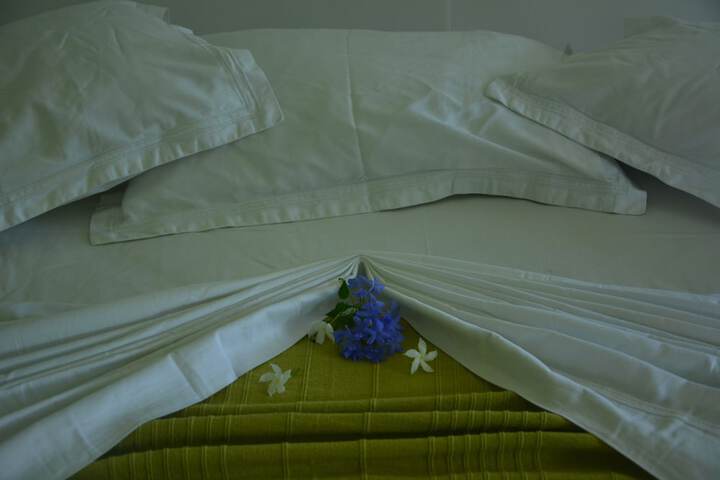 Room 5 of 77