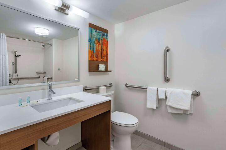 1 King Bed Suite (16 of 26)
