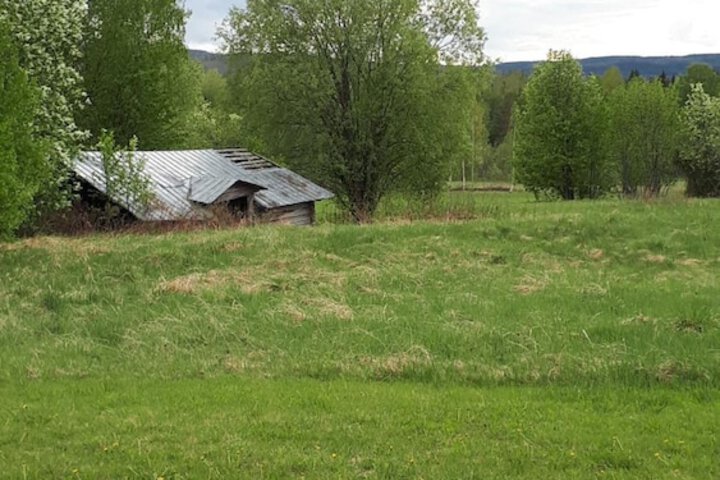 Property Grounds 17 of 28