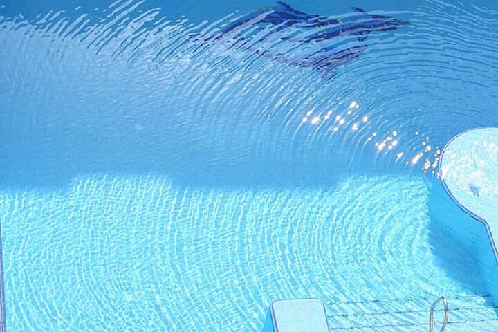 Pool 26 of 44