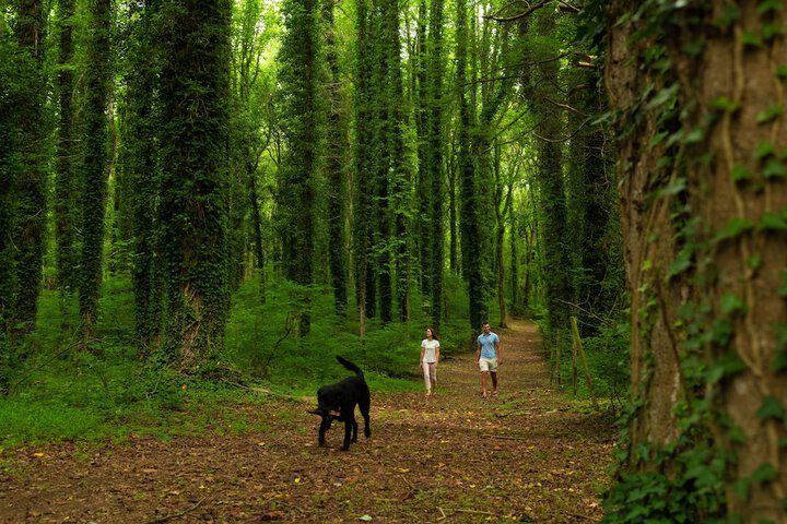 Outdoor Activities 78 of 93