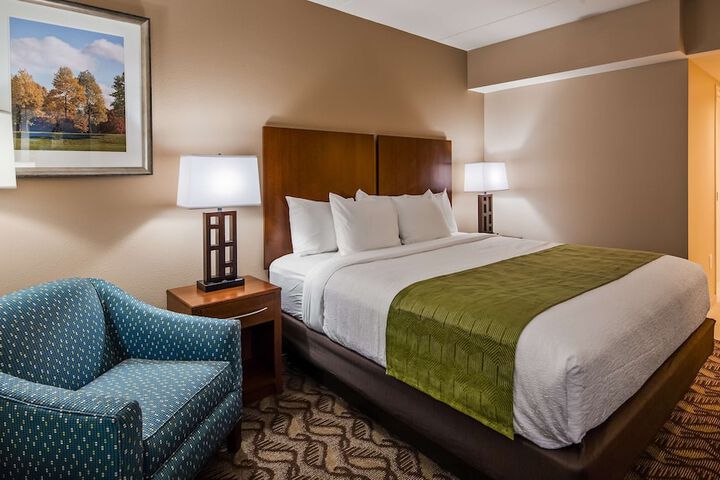 1 King Bed Exterior Accessible Annex Building High Speed Internet Accessible Microwave and Refrigerator Full Breakfast (10 of 10)