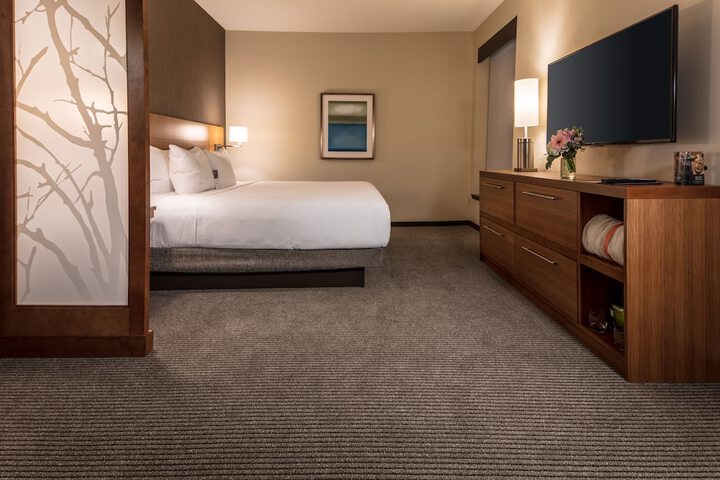 1 King Bed (5 of 9)