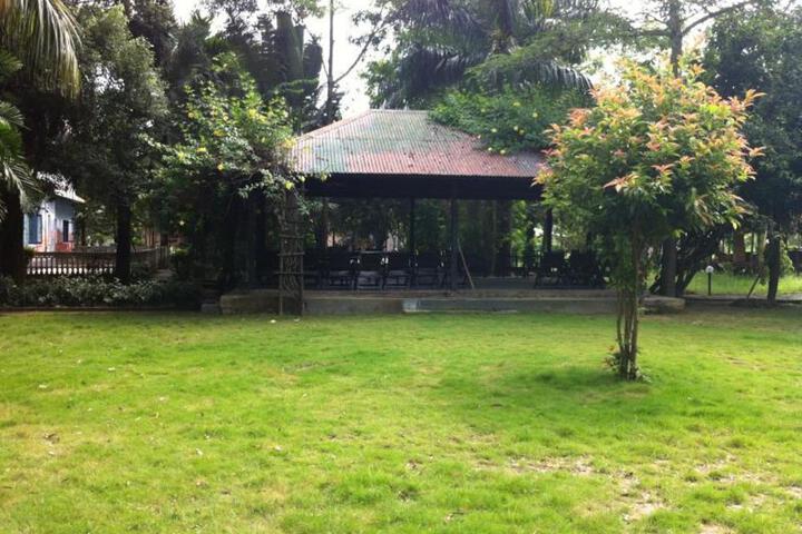 Photo 19