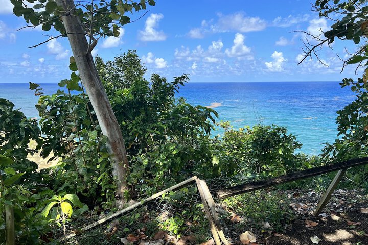 Beach 102 of 105