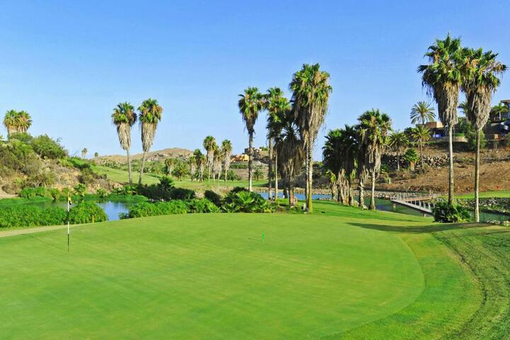 General 25 of 81