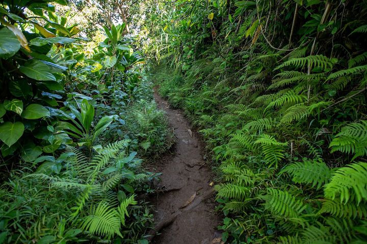 Hiking