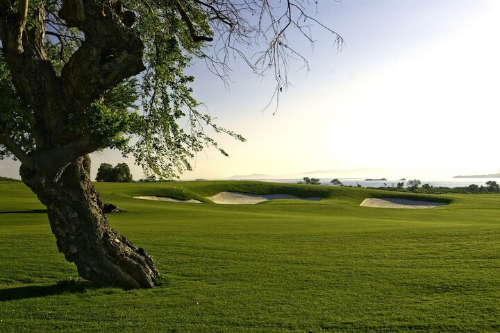 Golf 101 of 161