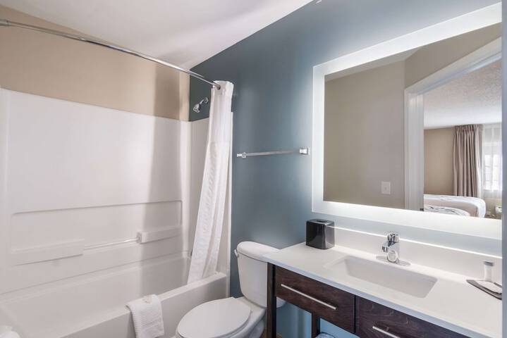 1 King Bed Suite (1 of 16)