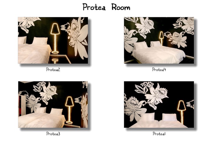 Room 13 of 48