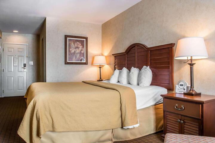 1 King Bed (5 of 9)
