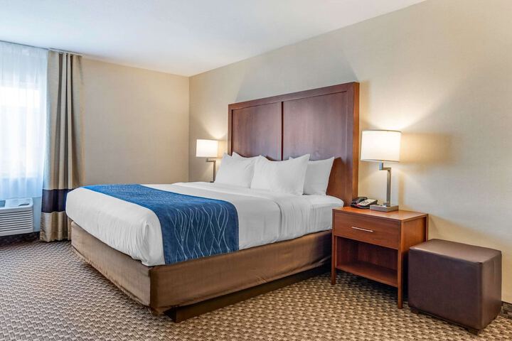 1 King Bed (4 of 19)