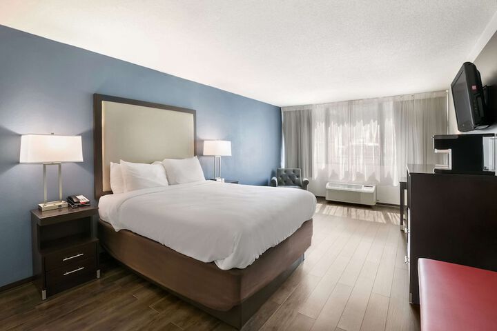 1 Queen Bed Accessible (11 of 11)