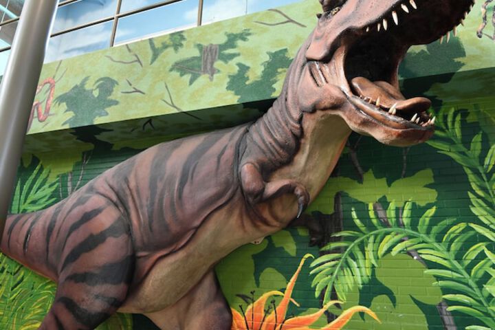 Childrens Activities 36 of 46