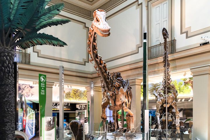 Childrens Activities 38 of 48