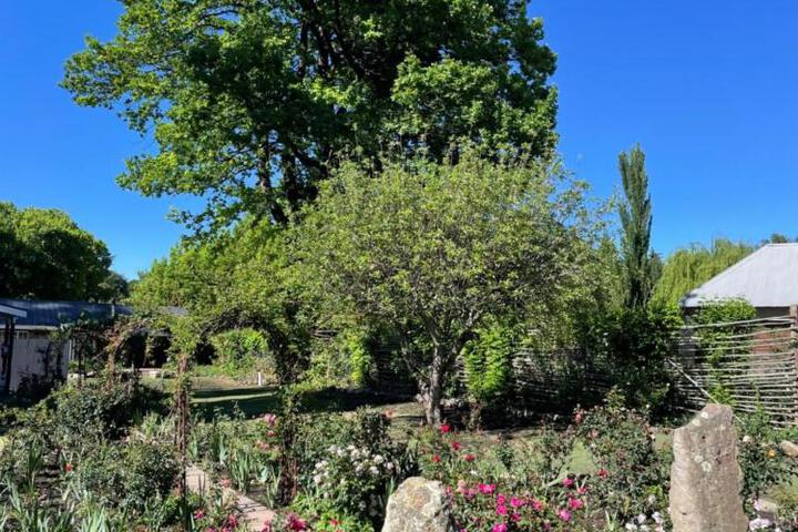 Photo 17