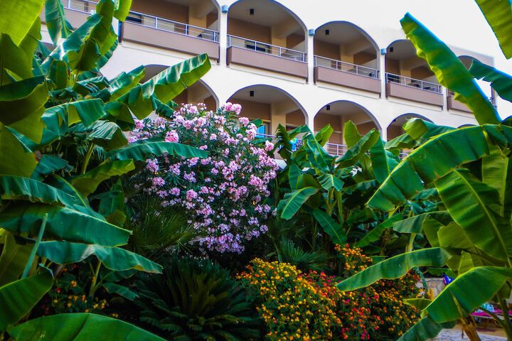 Hotel Exterior 55 of 58