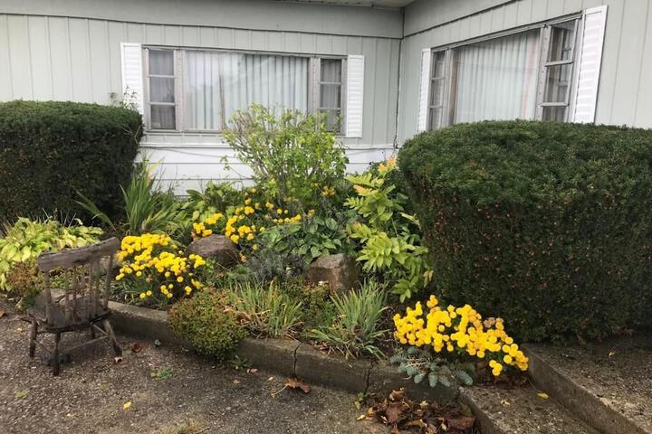 Property Grounds 40 of 51