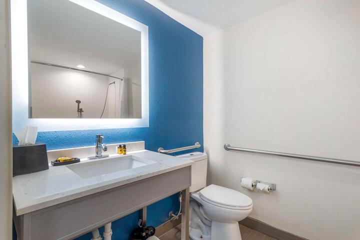 Accessible Suite 1 King Bed Accessible Bathtub Sofa Bed Full Breakfast (20 of 20)