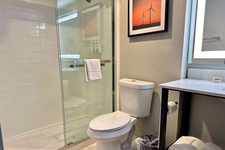 1 King Bed Mobility Accessible Roll in Shower (12 of 18)