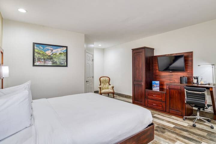 1 King Bed Accessible (8 of 25)