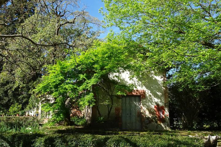Property Grounds 39 of 61