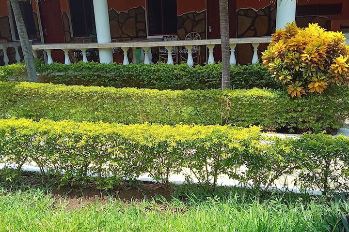 Hotel Exterior 66 of 66